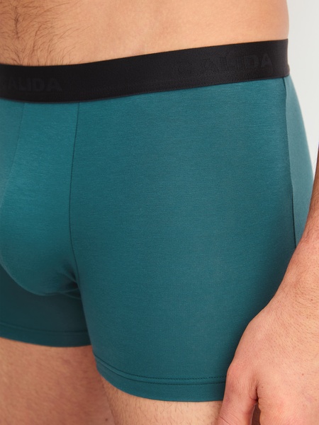 Boxer