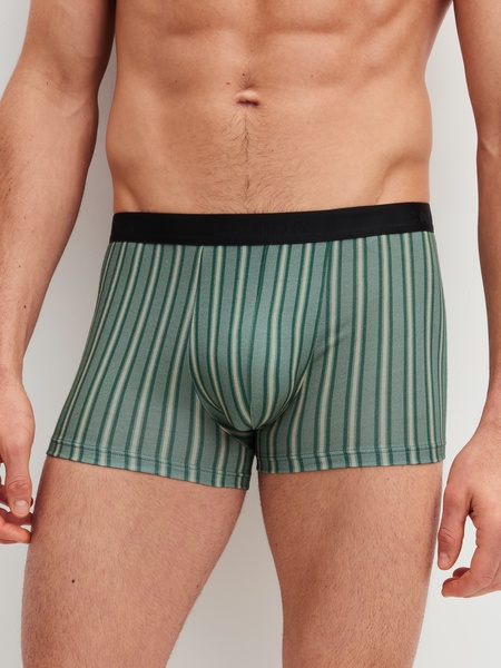 Boxer