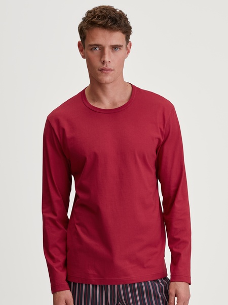 Shirt langarm