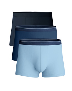 Boxer