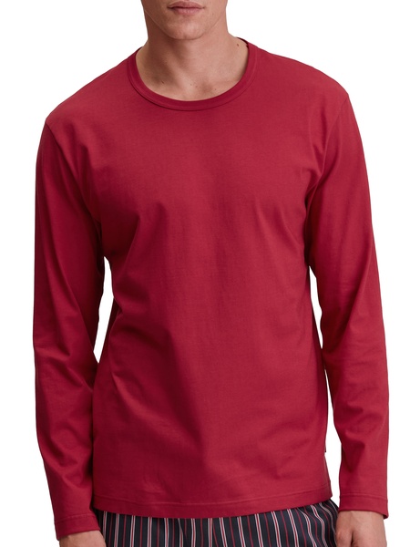 Shirt langarm