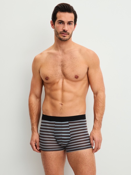 Boxer