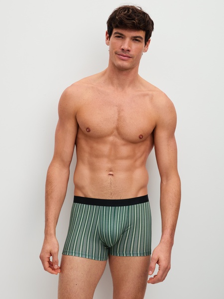 Boxer