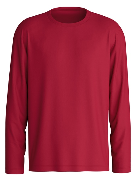 Shirt langarm