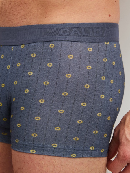 Boxer