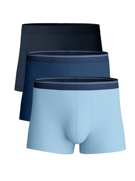 Boxer