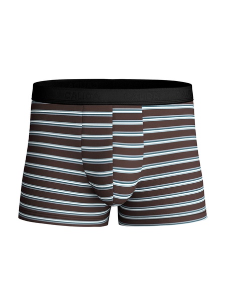 Boxer