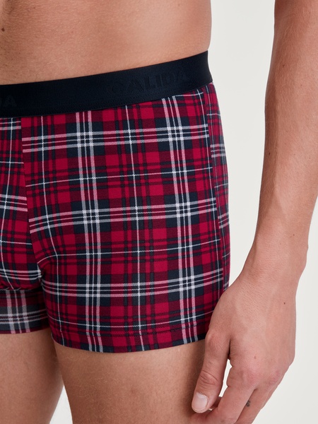 Boxer Brief