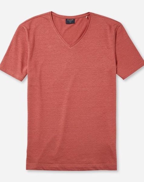 T-Shirt mit V-Ausschnitt