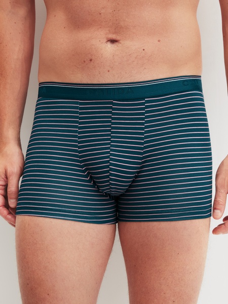 Boxer