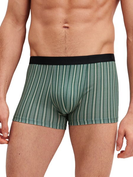 Boxer