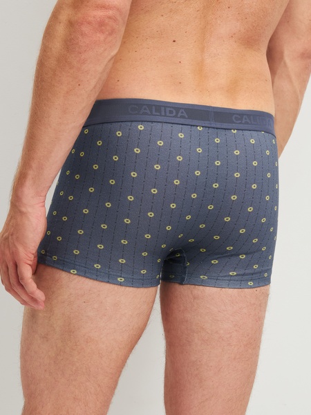 Boxer