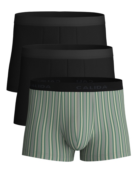 Boxer
